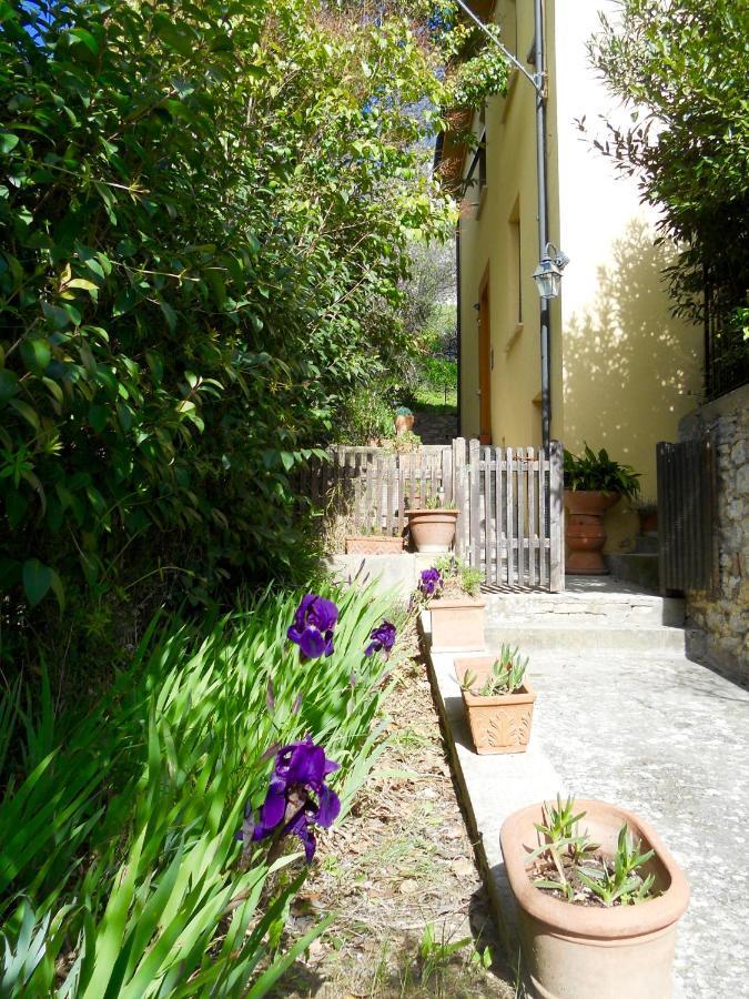 Villa Lucrezia - Dimora In Suvereto Suites&Apartments Экстерьер фото