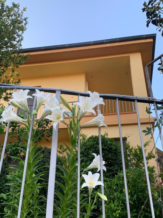 Villa Lucrezia - Dimora In Suvereto Suites&Apartments Экстерьер фото