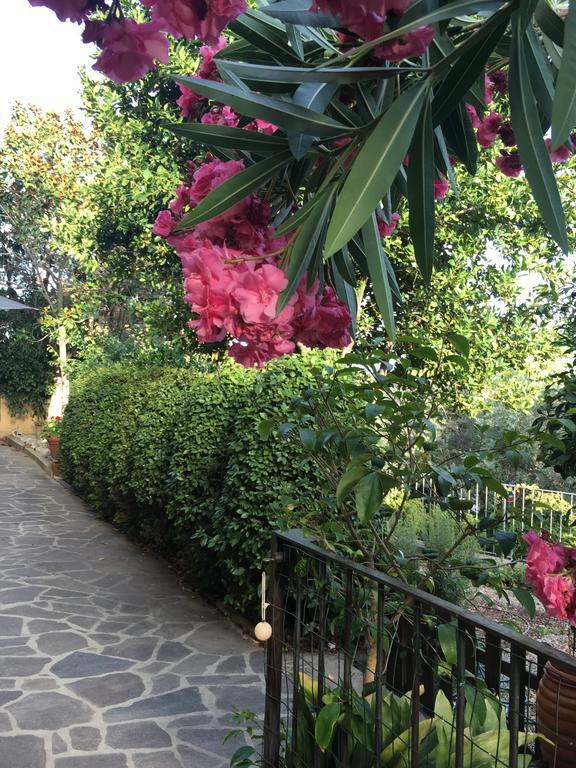 Villa Lucrezia - Dimora In Suvereto Suites&Apartments Экстерьер фото