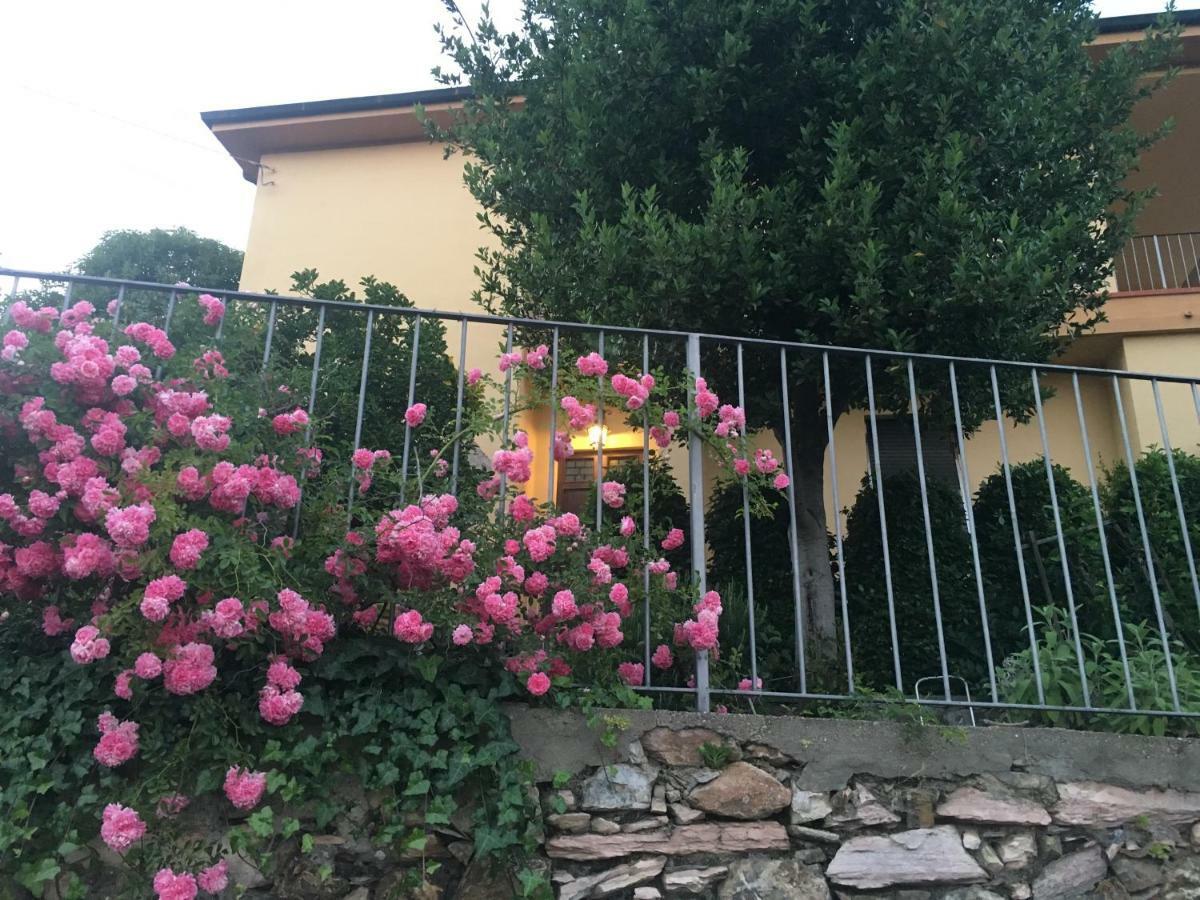 Villa Lucrezia - Dimora In Suvereto Suites&Apartments Экстерьер фото