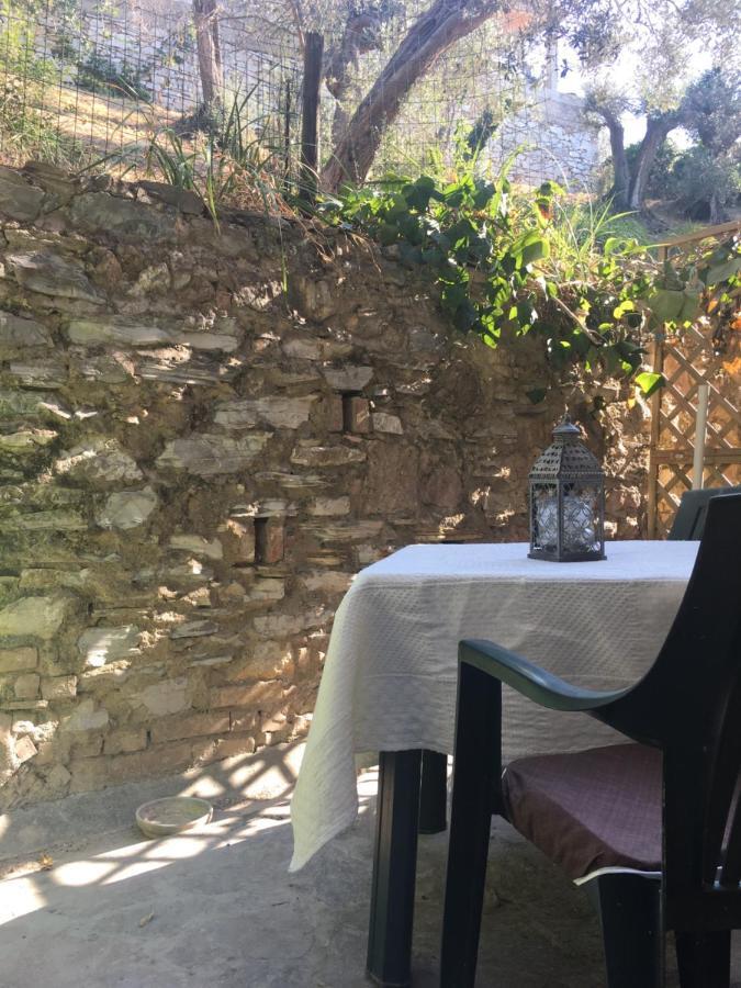Villa Lucrezia - Dimora In Suvereto Suites&Apartments Экстерьер фото